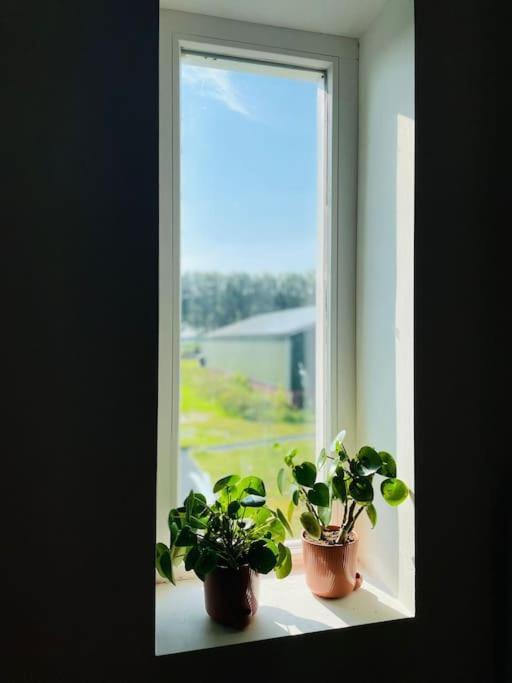 Cozy Appartment On The Farm Loenen aan de Vecht Zewnętrze zdjęcie